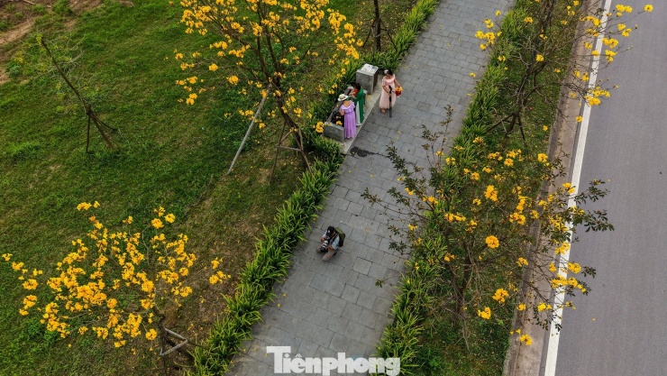 Đổ xô check-in đường hoa phong linh rực rỡ nhất Thủ đô - 13