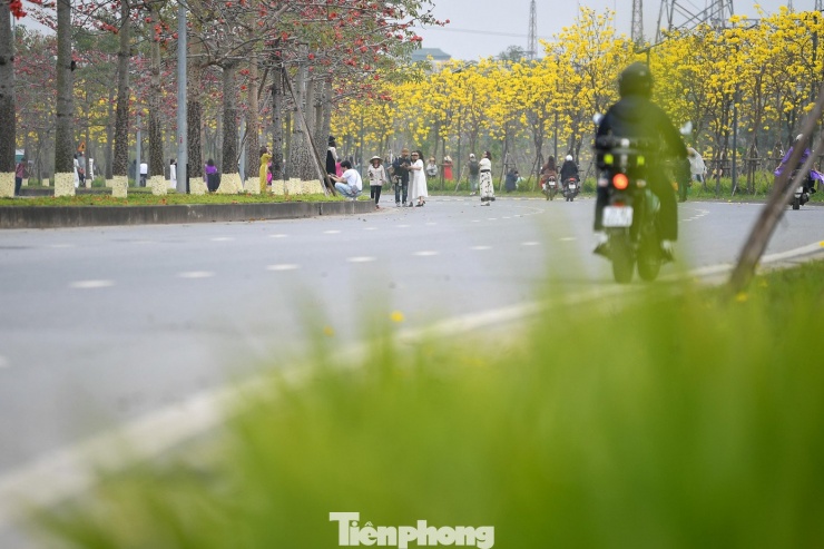 Mùa hoa ngắn nhưng đủ để tạo nên một “điểm hẹn” mới của người yêu nhiếp ảnh, với hình ảnh đặc trưng của con đường ngập sắc vàng và đỏ.