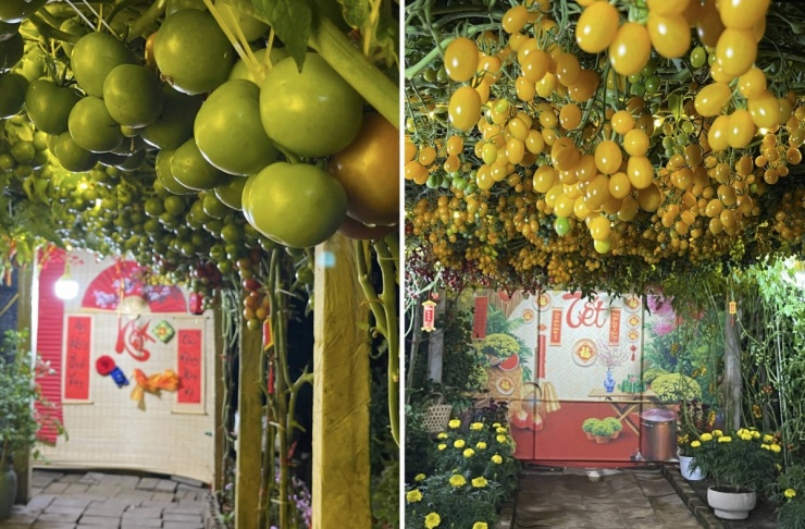 Dưới mỗi giàn cây, gia chủ bài trí thêm các món đồ trang trí theo phong cách Tết, biến khu vườn như thành một studio ngoài trời.