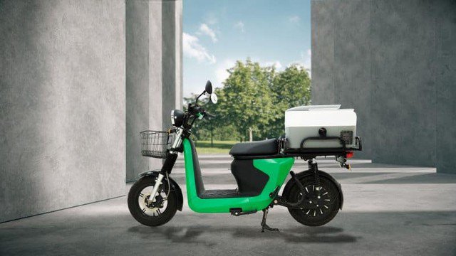 Xe điện Selex Camel 2