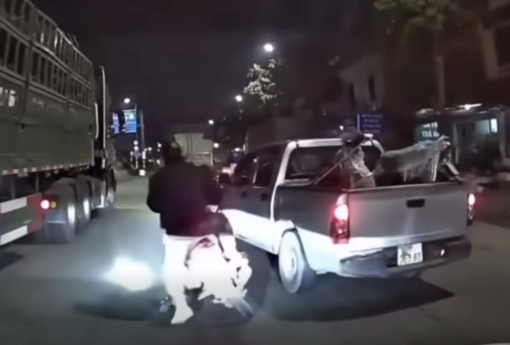 Hình ảnh cho thấy ô tô bán tải cố tình chèn ép khiến xe máy ngã ra đường ngay trước bánh ô tô tải. (Ảnh cắt từ clip)