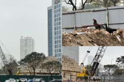 Dự án hơn 5.000 m2 của Vietcombank vẫn “cửa đóng, then cài” sau gần hai thập kỷ