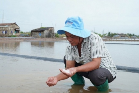 Mưa trái mùa xóa tan hơn 9.000 tấn muối ở Cà Mau, diêm dân xót xa