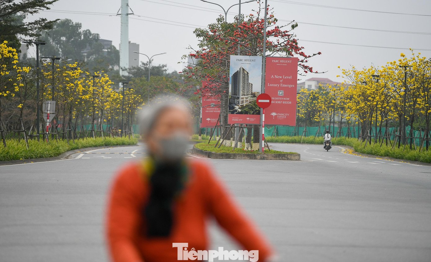 Phong linh thường nở trong khoảng hai đến ba tuần, tùy thời tiết. Sự trùng thời điểm với mùa hoa gạo khiến tuyến đường trở thành điểm check-in được chia sẻ nhiều trên mạng xã hội những ngày qua.