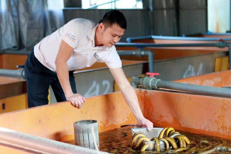 Mô hình nuôi lươn không bùn của anh Phạm Ngọc Dung. Ảnh: H.Na