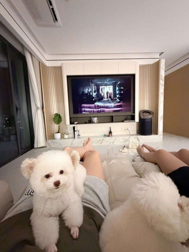 Trên trang cá nhân, nàng hậu hạnh phúc chia sẻ dòng trạng thái "Home sweet home" cùng những hình ảnh rạng rỡ bên các chú cún cưng. Không sử dụng quá nhiều chi tiết rườm rà, nàng hậu ưu tiên những gam màu trung tính và không gian mở để tạo cảm giác thoáng đạt.