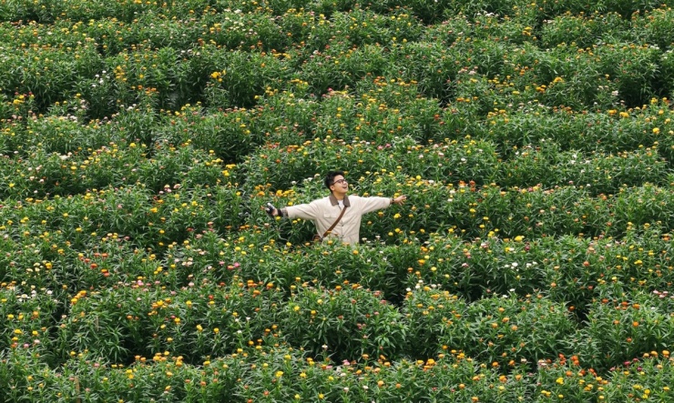 Đồi hoa bất tử - điểm check in mới ở Mộc Châu - 3