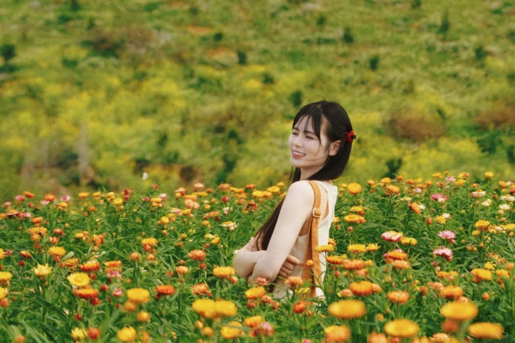 Đồi hoa bất tử - điểm check in mới ở Mộc Châu - 6