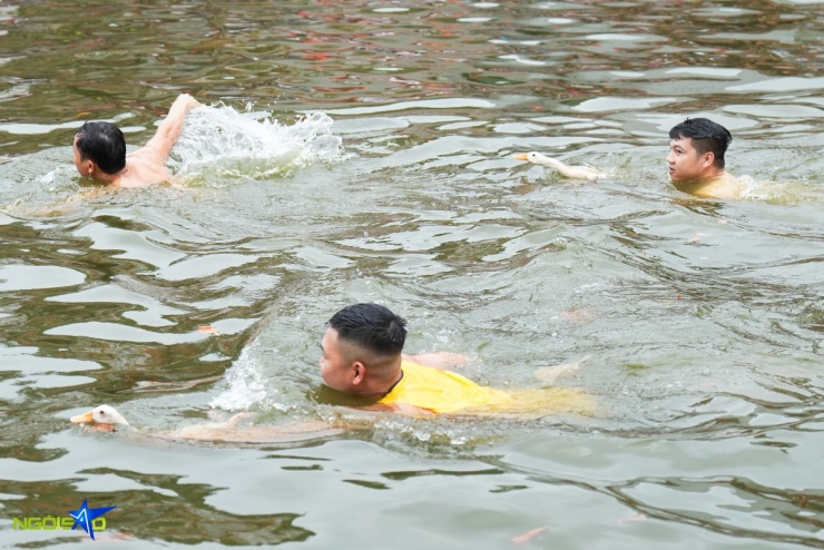 Hàng chục trai tráng ngụp lặn bắt vịt ở hội làng Hà Nội - 5