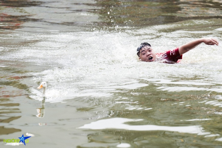 Hàng chục trai tráng ngụp lặn bắt vịt ở hội làng Hà Nội - 6