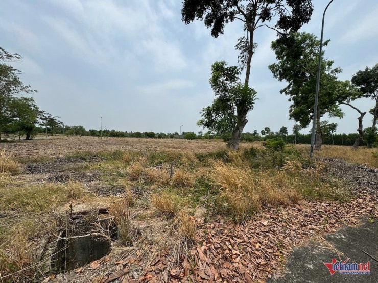 Ảnh minh họa: Anh Phương