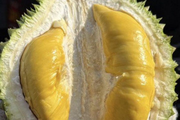 Giá sầu riêng Musang King rẻ đến bất ngờ
