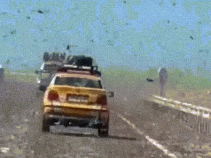 Khoảnh khắc như 'tận thế' khi lái xe qua đàn châu chấu ở Sahara