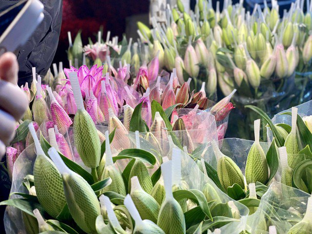 Tùy vào mỗi loại hoa sẽ có giá khác nhau, chất lượng càng tốt giá càng cao.