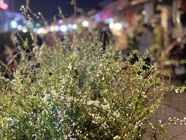 Tuyết mai vẫn là một trong những mặt hàng 'hot' được nhiều chị em săn đón.