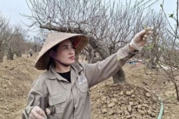 Ở hai phường nào của Hải Phòng, mới tết ra dân "chốt sổ" là đã "cầm về" 180 tỷ?