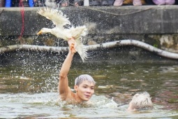 Hàng chục trai tráng ngụp lặn bắt vịt ở hội làng Hà Nội