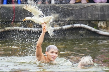 Hàng chục trai tráng ngụp lặn bắt vịt ở hội làng Hà Nội