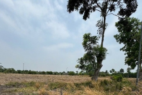 Cầm bản chính sổ đỏ trong tay, đất vẫn bị bán cho hai người mà không hay biết