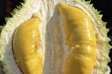 Giá sầu riêng Musang King rẻ đến bất ngờ