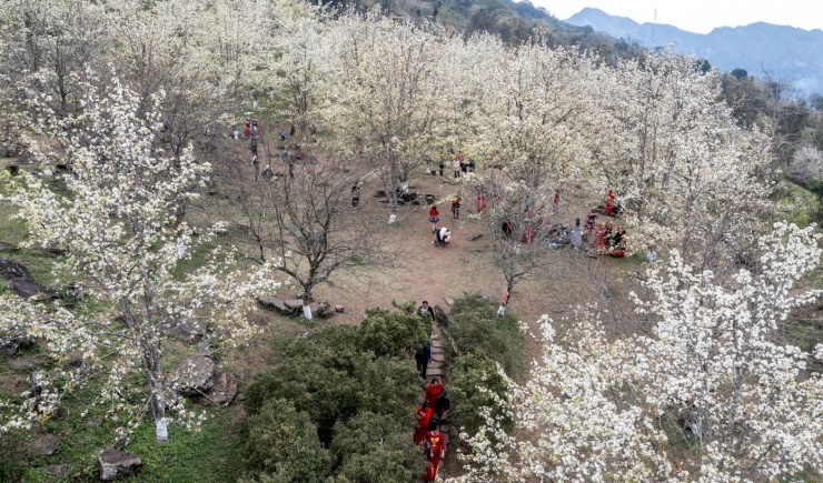 Nằm ở độ cao gần 1.000m so với mực nước biển, Hồng Thái được ví như “Sa Pa của Tuyên Quang” với khí hậu mát mẻ quanh năm, cảnh quan nguyên sơ và những nếp nhà sàn truyền thống của đồng bào Dao Tiền. Quả lê Hồng Thái là đặc sản nổi tiếng, thường thu hoạch rộ vào tháng 8, quả có đặc điểm giòn, mọng nước, ngọt thanh và hương vị đậm đà.