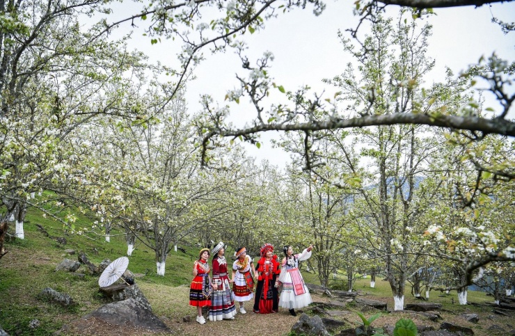 Vài năm trở lại đây, cùng với phát triển nông nghiệp đặc trưng, địa phương chú trọng khai thác du lịch sinh thái, du lịch cộng đồng, trong đó mùa hoa lê (ở các thôn vùng cao như Khau Phà và Bản Muông) trở thành điểm nhấn mỗi dịp tháng 2, tháng 3.