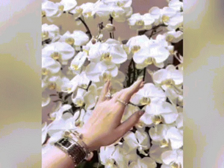 'Kết ấn cầu tài' là gì mà rần rần mạng xã hội?