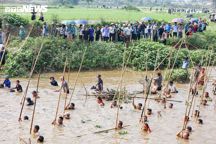Người tham gia đứng trên những cây sào dài, linh hoạt di chuyển dưới lòng sông, đồng thời nhún nhảy nhịp nhàng để úp bắt những con cá đang bơi lội.