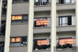 Giá nhà leo thang, người mua đánh cược với căn hộ không sổ