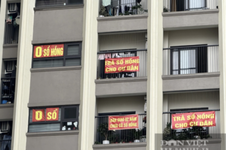 Giá nhà leo thang, người mua đánh cược với căn hộ không sổ