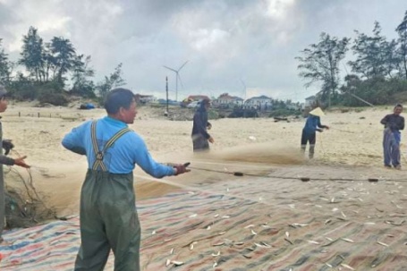 Video: Trúng đậm mùa cá trích, ngư dân ven biển Quảng Trị "bỏ túi" hơn 10 triệu đồng/ngày