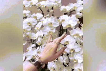 'Kết ấn cầu tài' là gì mà rần rần mạng xã hội?