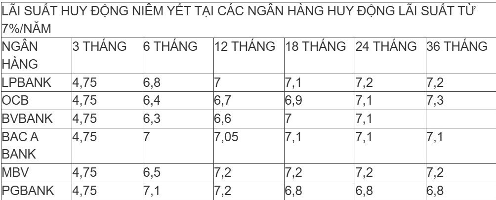 Lãi suất tiết kiệm 13 tháng lập đỉnh 9%: Sốc số tiền lãi nhận được khi gửi 500 triệu đồng - 2