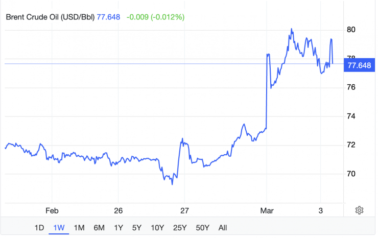 Giá xăng dầu hôm nay 3/3: Dầu thô thế giới tăng dữ dội khi Iran doạ "đốt cháy" mọi tàu qua eo biển Hormuz - 2