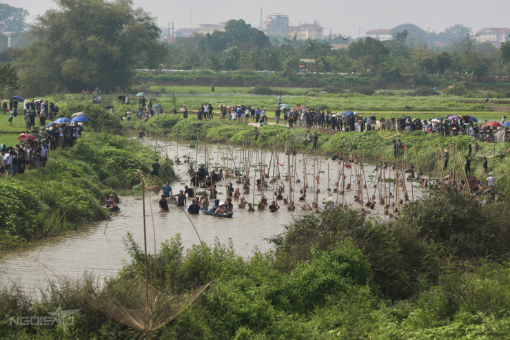 Trai tráng xứ Đoài xuống sông 'dập sào bắt cá' - 1