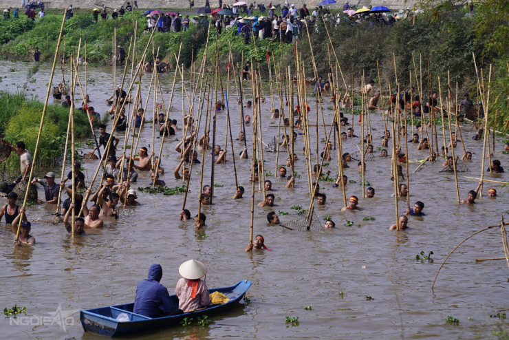 Trai tráng xứ Đoài xuống sông 'dập sào bắt cá' - 2
