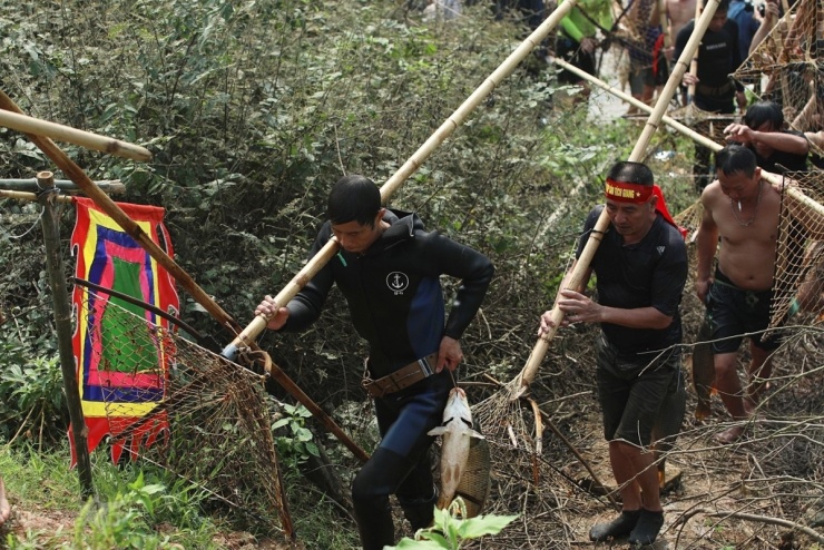 Trai tráng xứ Đoài xuống sông 'dập sào bắt cá' - 9