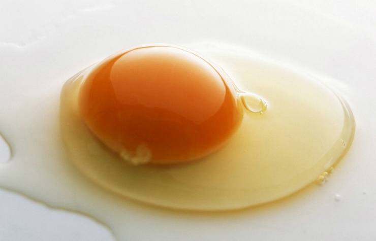Lòng trắng trứng chứa nhiều protein.