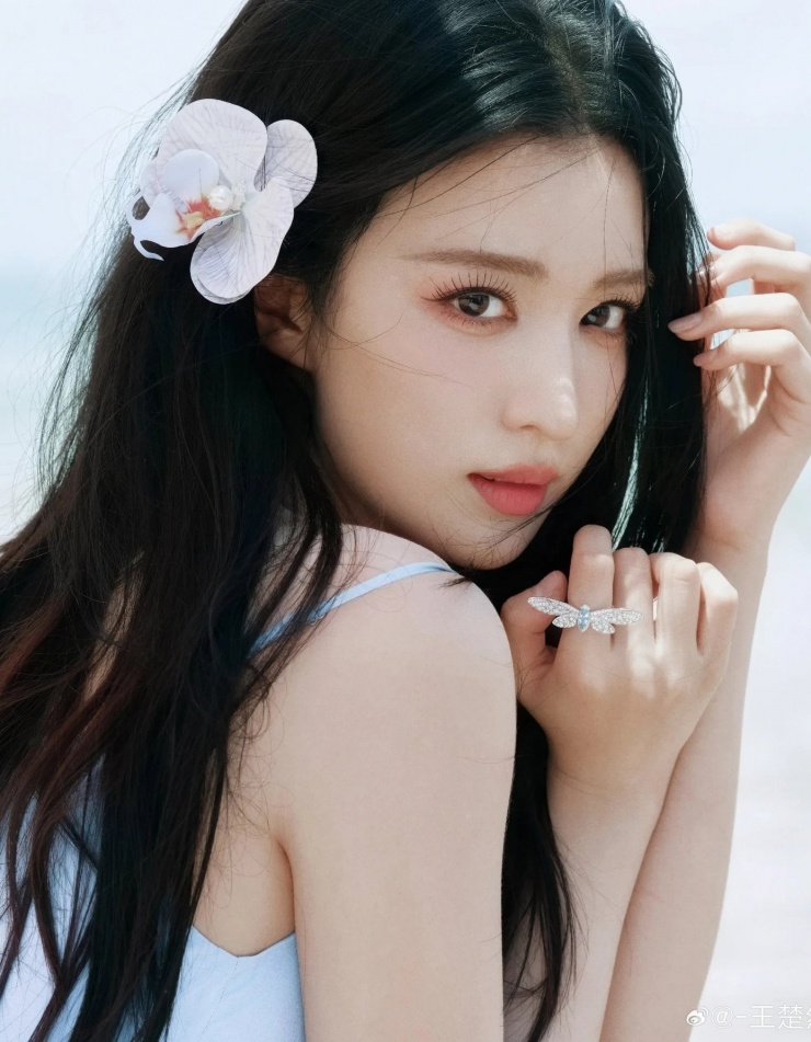 Cnet bình chọn Tứ đại mỹ nhân của tiểu hoa 95, vì sao vắng bóng Triệu Lộ Tư? - 2