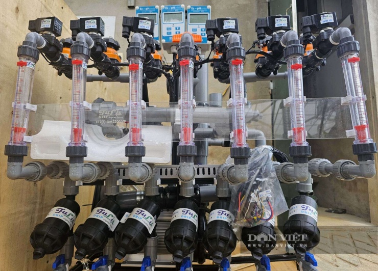 Kỹ sư xây dựng bỏ lương ngàn đô về quê Nghệ An làm trang trại đẹp như phim, trồng đủ thứ quả ngon, ai đến cũng mê - 6