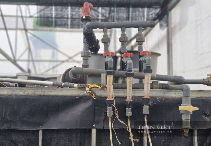 Hệ thống chăm phân bón tự động cho cây trồng được anh Đạt lắp đặt tại trang trại. Hệ thống này giúp kiểm soát chất dinh dưỡng cho từng loại cây trồng. Ảnh: N.T&nbsp;