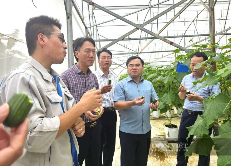 Kỹ sư xây dựng bỏ lương ngàn đô về quê Nghệ An làm trang trại đẹp như phim, trồng đủ thứ quả ngon, ai đến cũng mê - 11