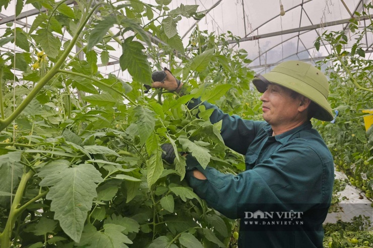 Kỹ sư xây dựng bỏ lương ngàn đô về quê Nghệ An làm trang trại đẹp như phim, trồng đủ thứ quả ngon, ai đến cũng mê - 13