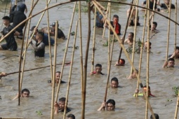 Trai tráng xứ Đoài xuống sông 'dập sào bắt cá'