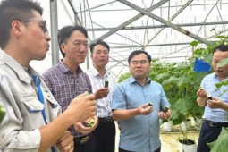 Kỹ sư xây dựng bỏ lương ngàn đô về quê Nghệ An làm trang trại đẹp như phim, trồng đủ thứ quả ngon, ai đến cũng mê