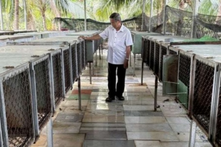 Nuôi chồn hương ở phường Bình Minh, tỉnh Tây Ninh kiểu gì mà ông nông dân này có lời 500 triệu/năm ngon ơ?