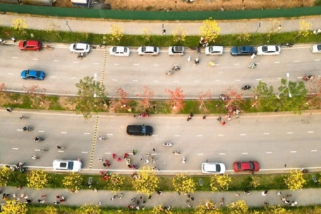 Người Hà Nội mang thang 'săn ảnh' đường hoa phong linh nở vàng rực rỡ