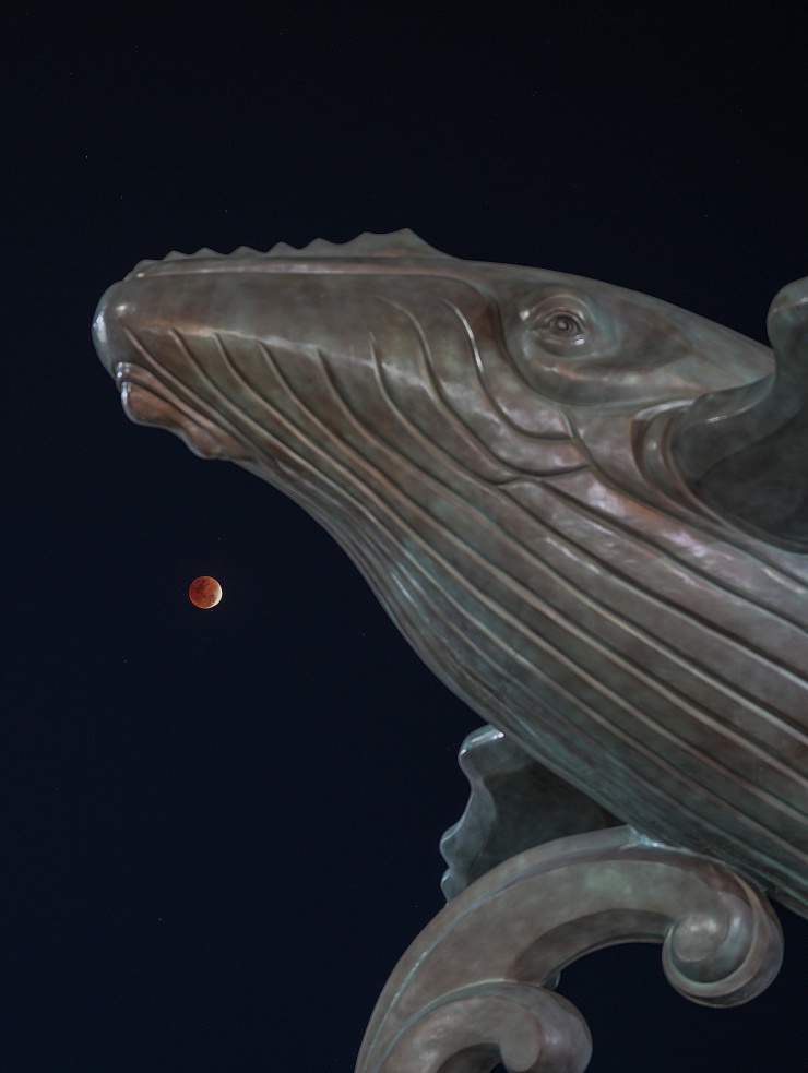 Mặt Trăng với tượng cá voi ở biển Bãi Sau, Vũng Tàu. Ảnh: Nguyễn Đăng Khoa