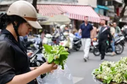 Hoa bưởi ngập phố Hà Nội, giá 'chát' vẫn đắt hàng