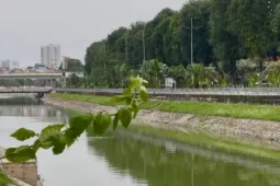 Sông Tô Lịch bất ngờ trong xanh trở lại, gây ngỡ ngàng